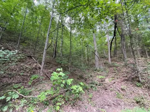 Wooded Lot in Sevierville, TN