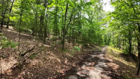 Wooded Land Near Russellville