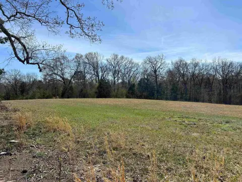 Residential Lot in Mena, Arkansas