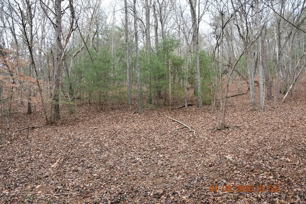 Picture 35
