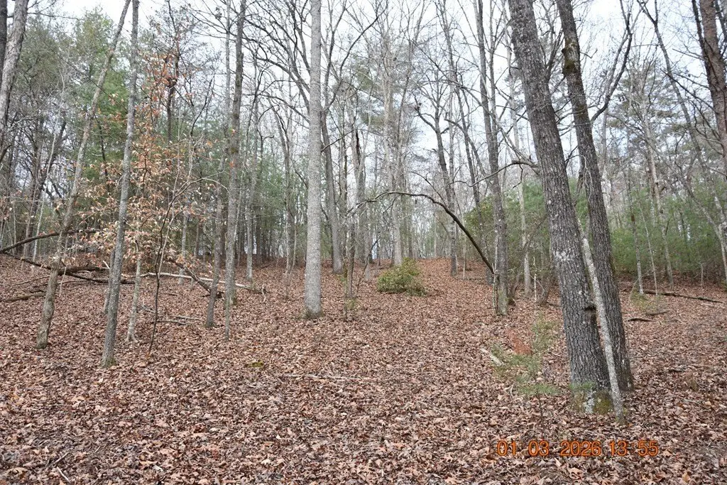 Picture 39