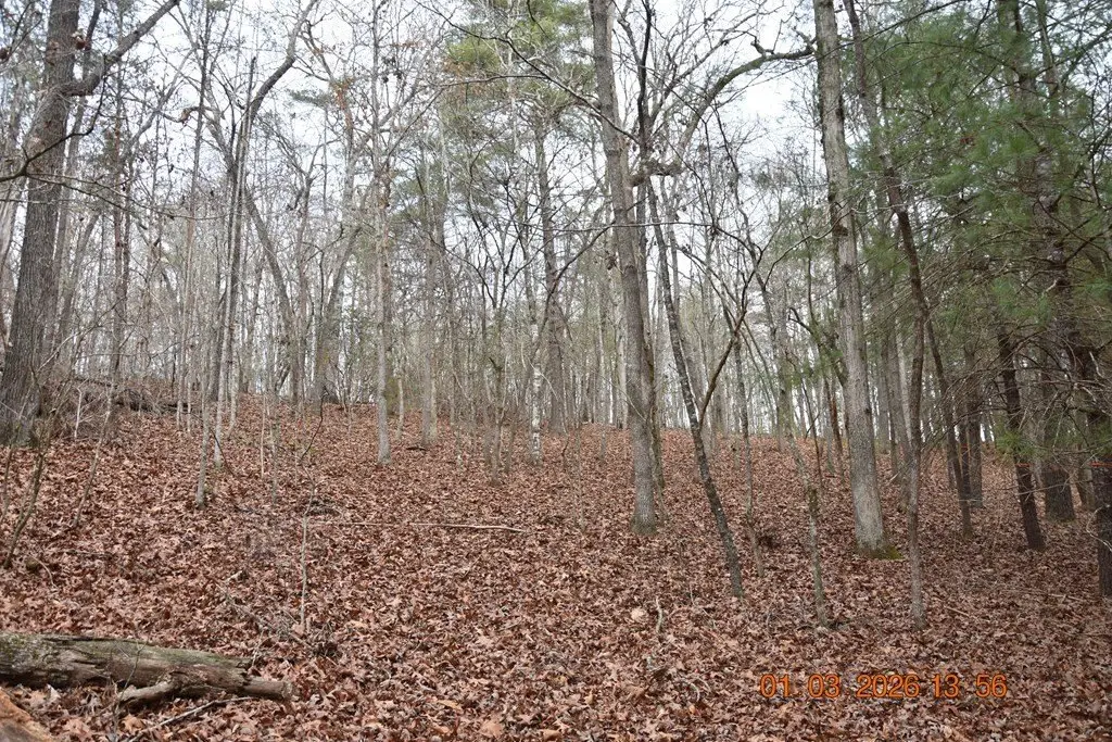 Picture 42