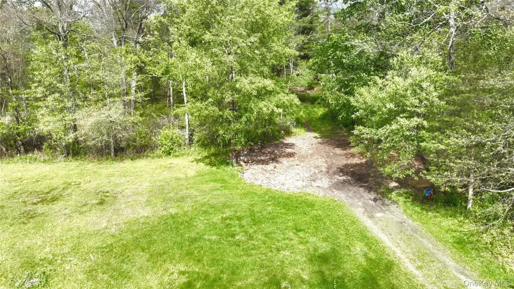 Picture 8
