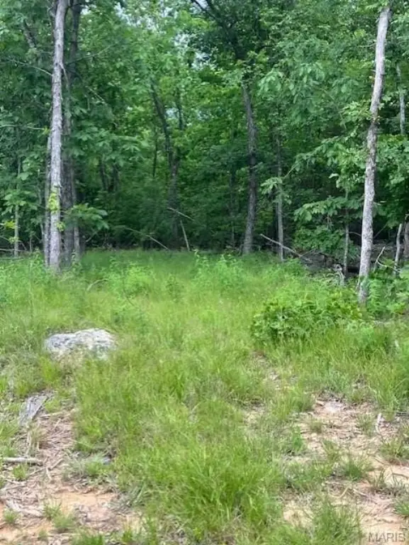Picture 2