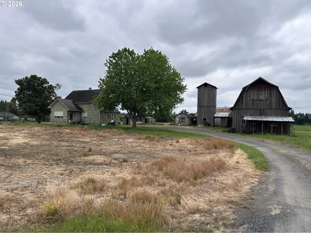 Picture 2