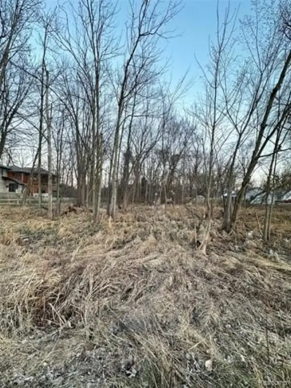 Picture 8