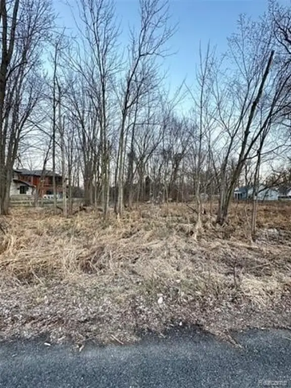 Picture 9