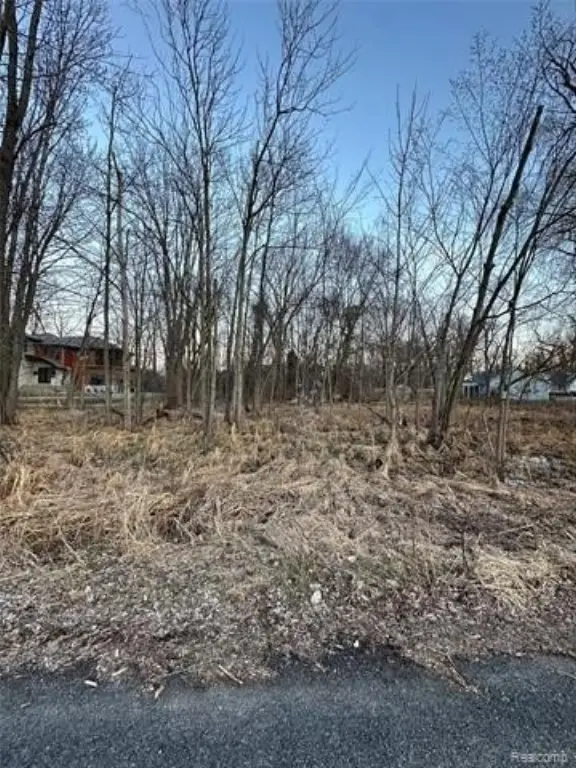 Picture 10