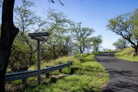 Ready-to-Build Land in Kamuela, Hawaii