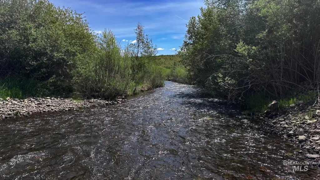 Picture 19