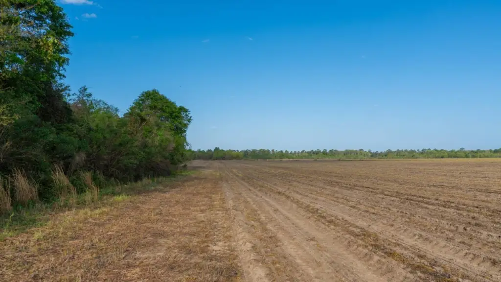 Picture 43