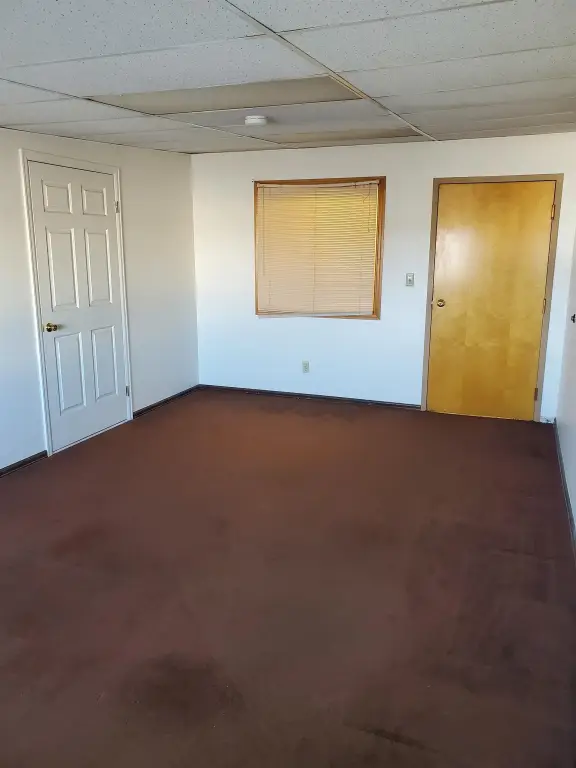 Picture 5