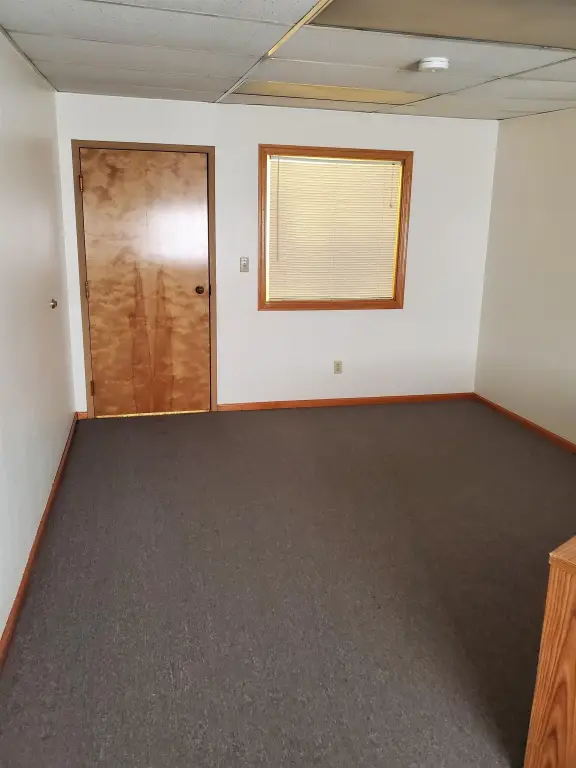 Picture 5