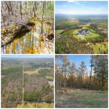 78 Acre Hunting and Farmland