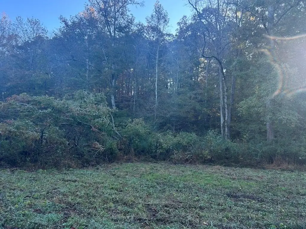 Picture 13