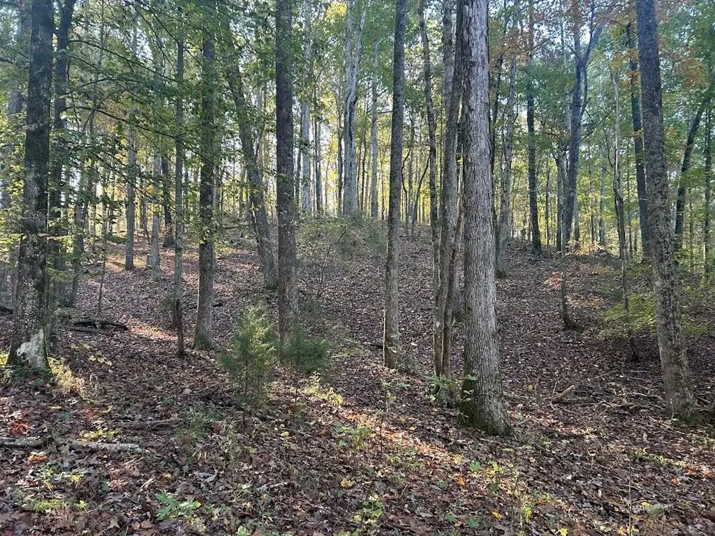 Picture 21