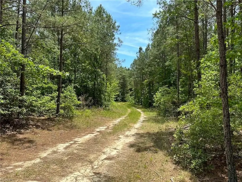 Picture 23