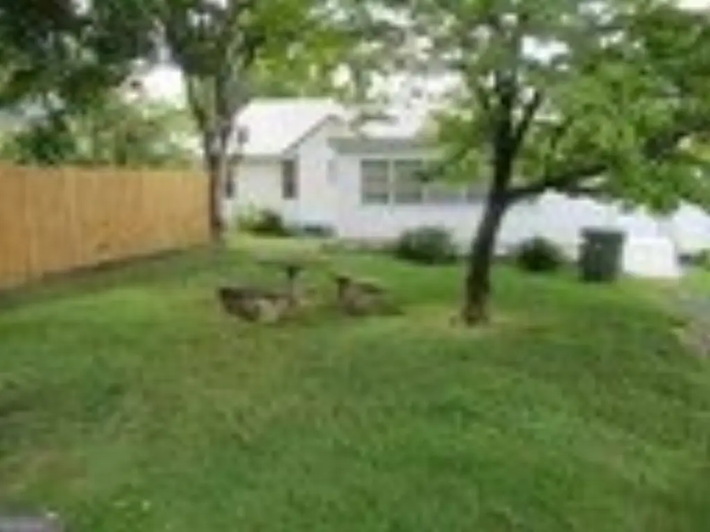 Picture 15