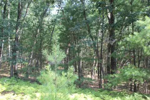 Chain O Lakes Recreation Land