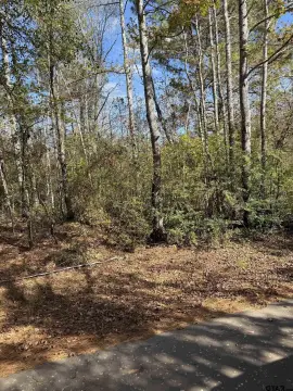 Rural Acreage in Elkhart, TX