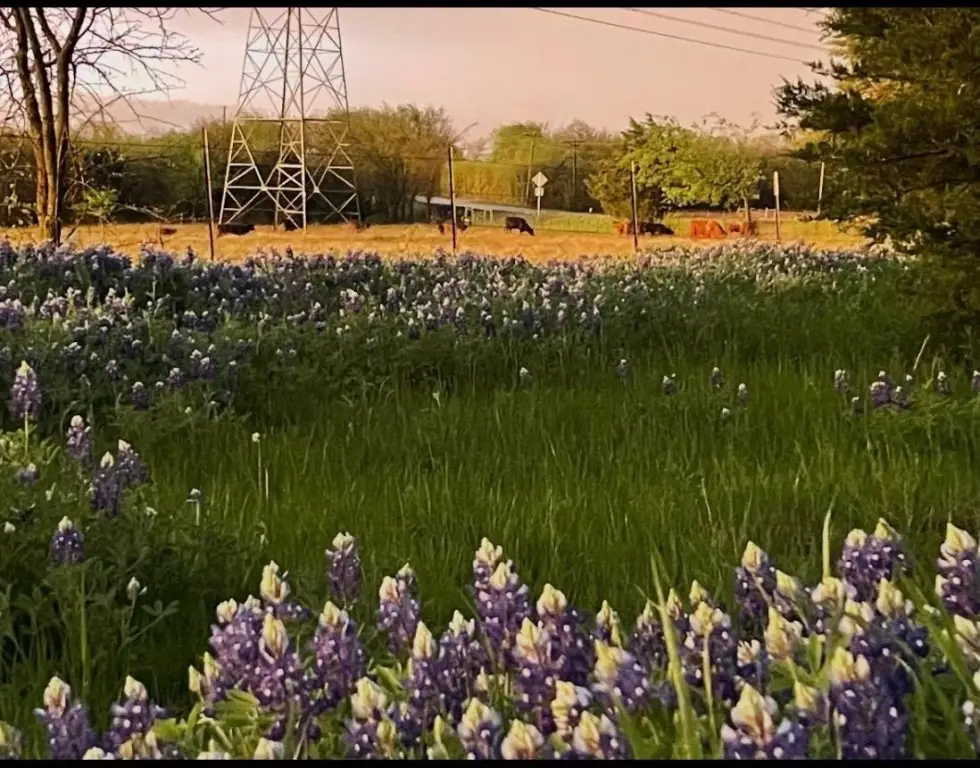 Picture 8