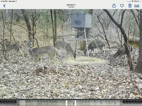 70 Acres of Recreational Land