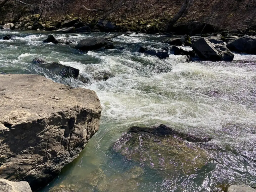 Picture 9