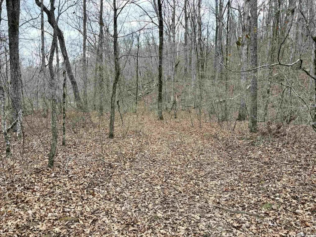 Picture 45
