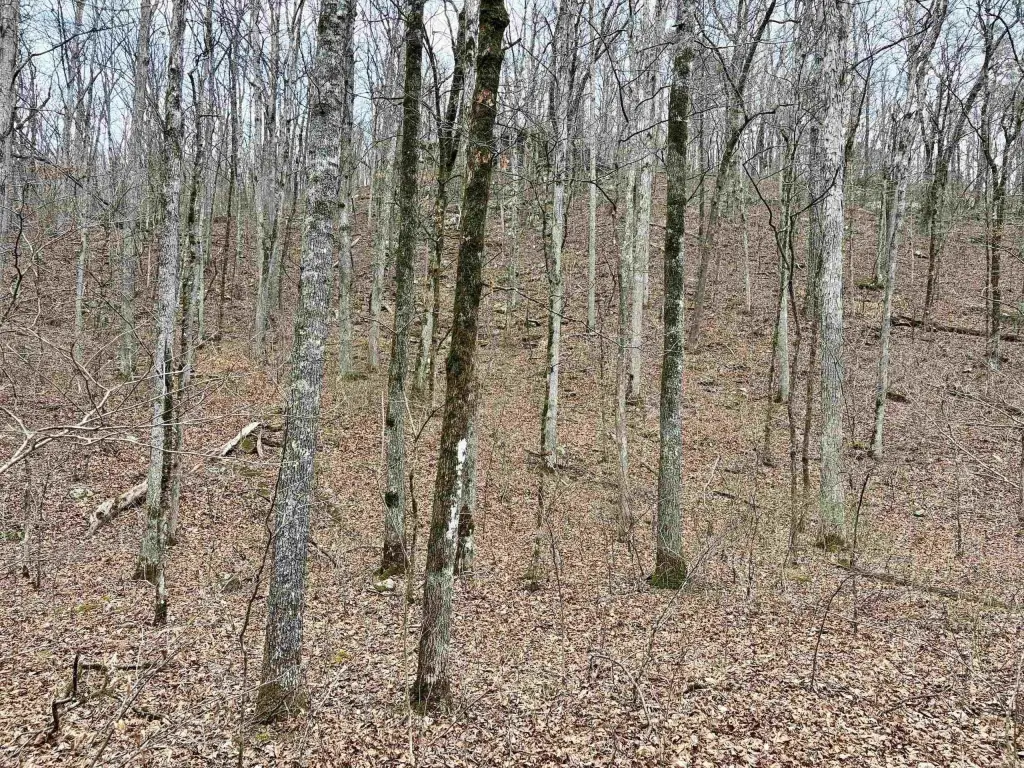 Picture 32