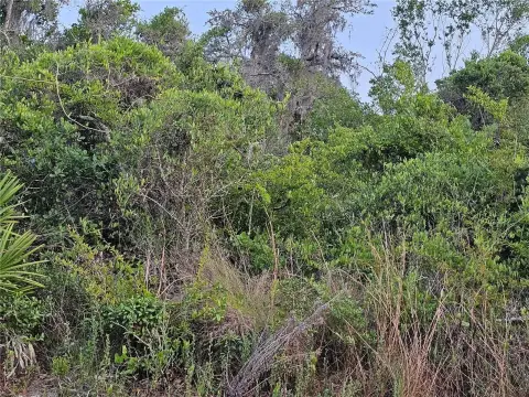 Residential Land in Moon Lake