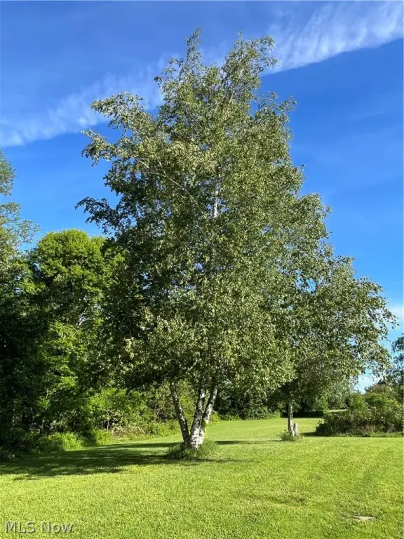 Picture 19