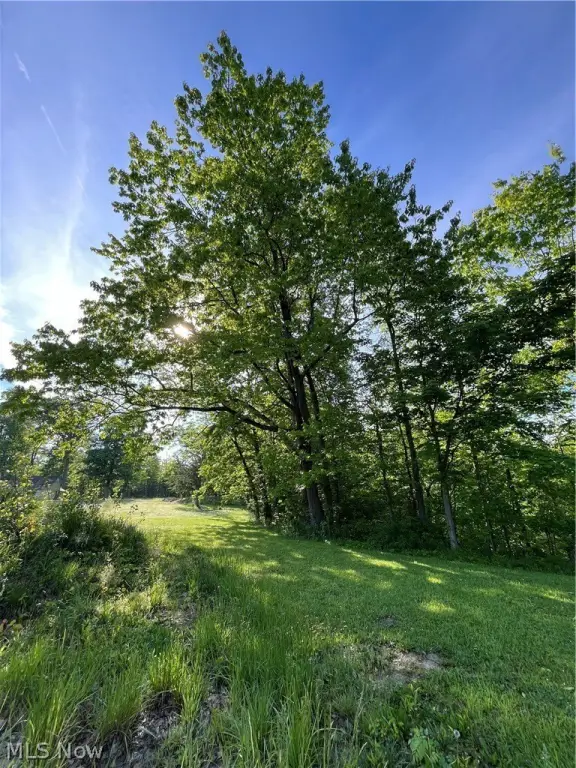Picture 26