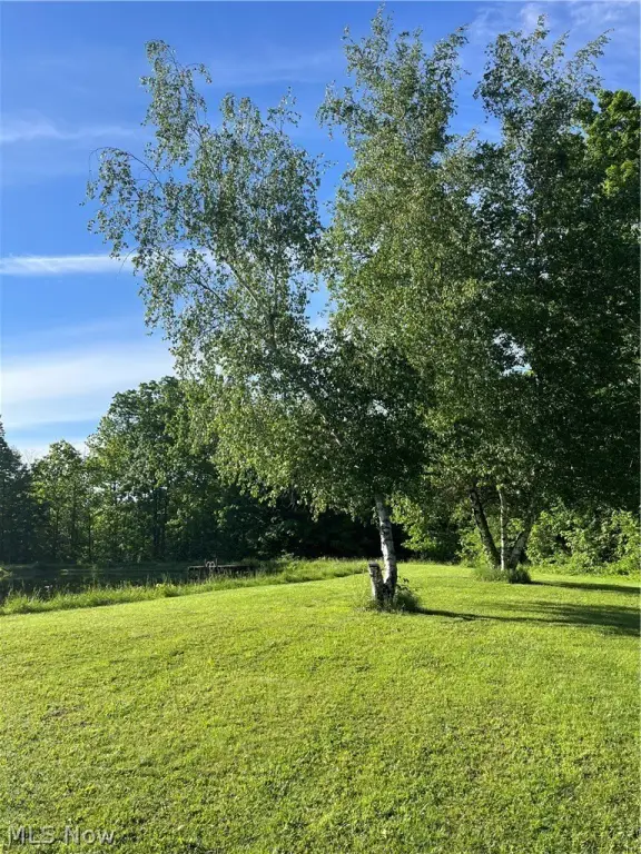 Picture 20