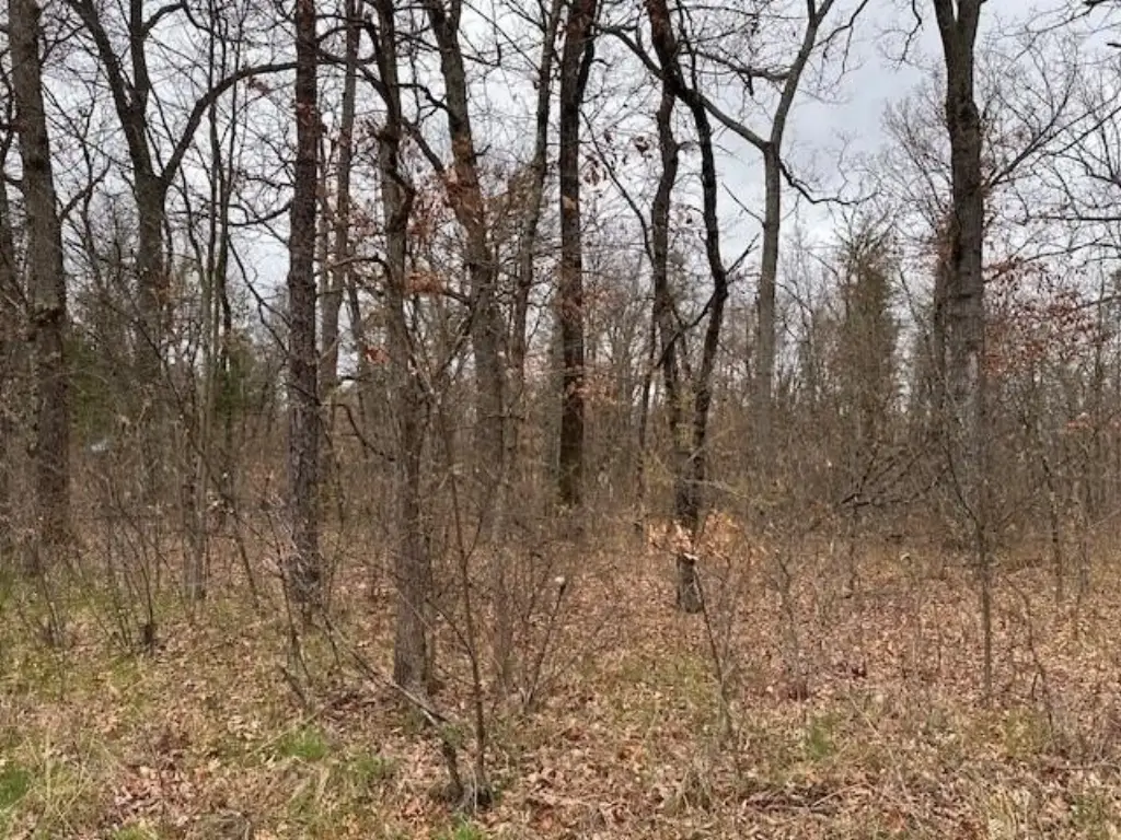 Picture 3