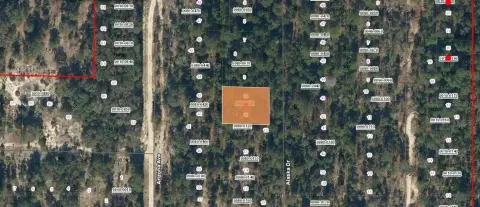Vacant Lot in Hawthorne, FL
