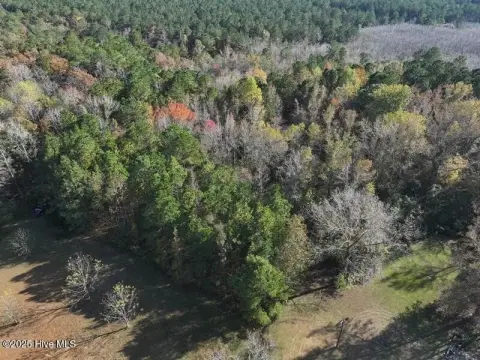 Heavily Wooded Homesite Near Whiteville