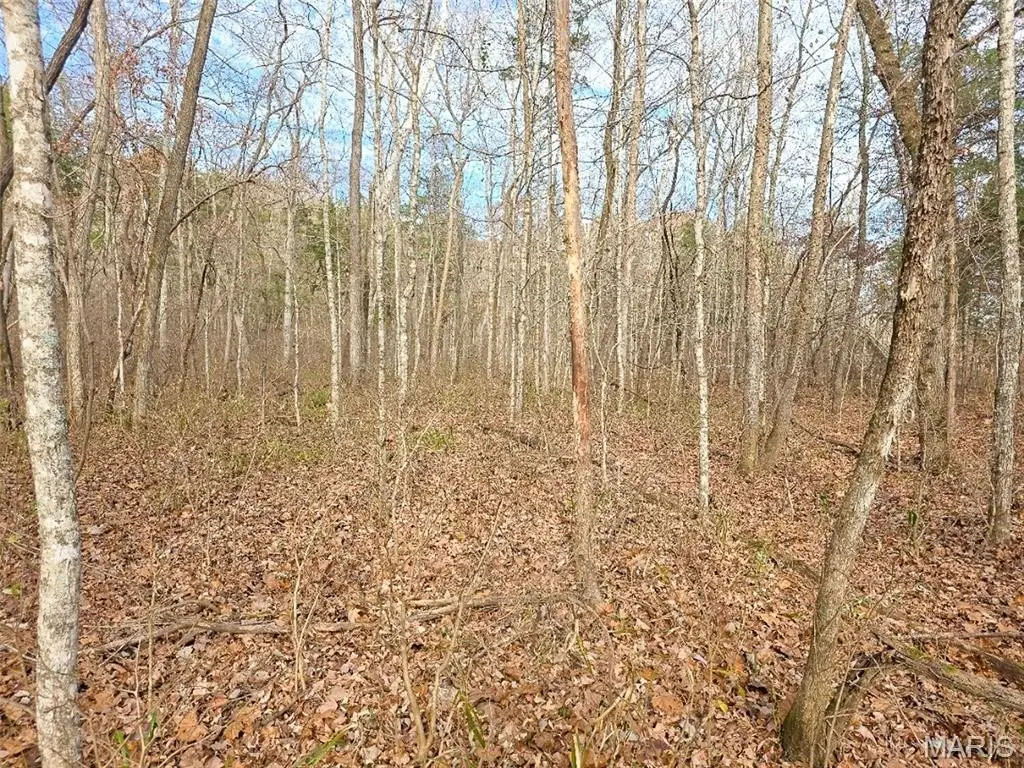 Picture 7