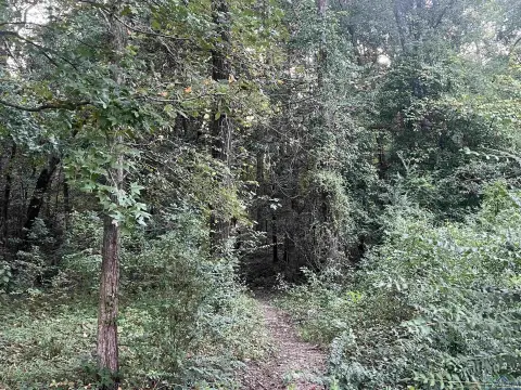 Three Lots in Gilmer, TX