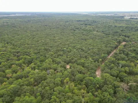 Omaha, TX Recreational Acreage