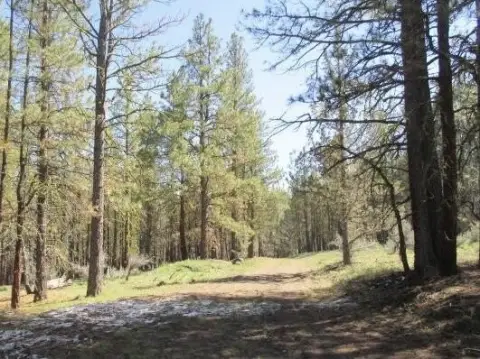 Residential Lots in Beatty, Oregon