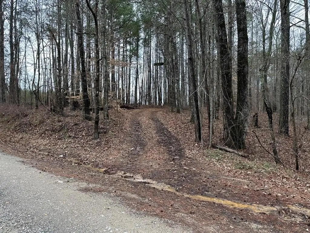 Picture 4