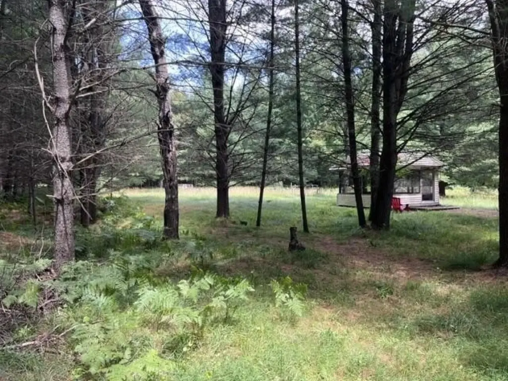 Picture 19