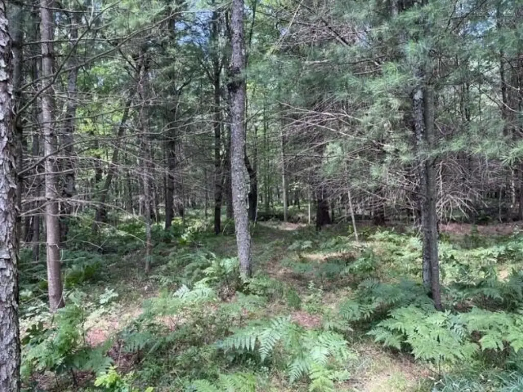 Picture 17
