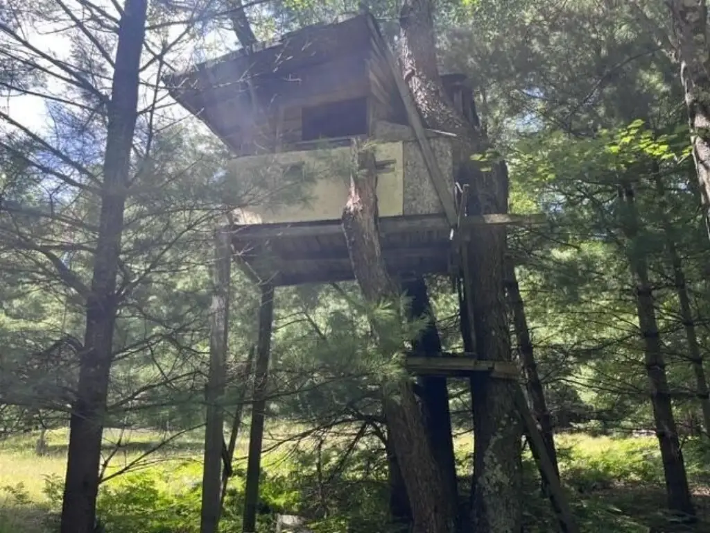 Picture 11