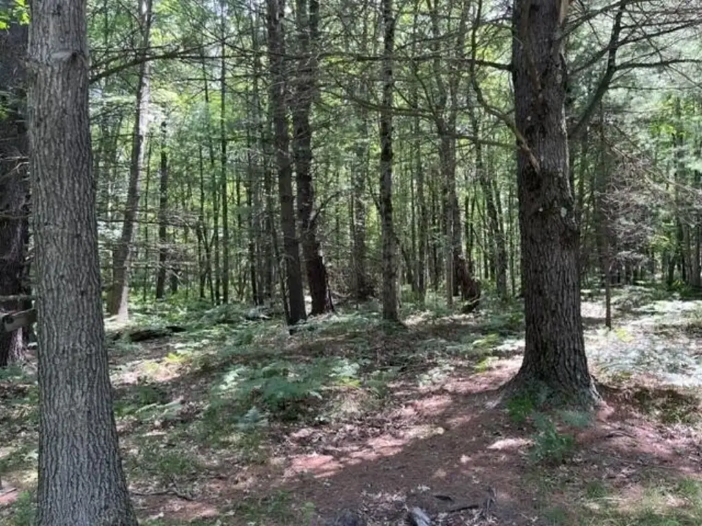 Picture 12