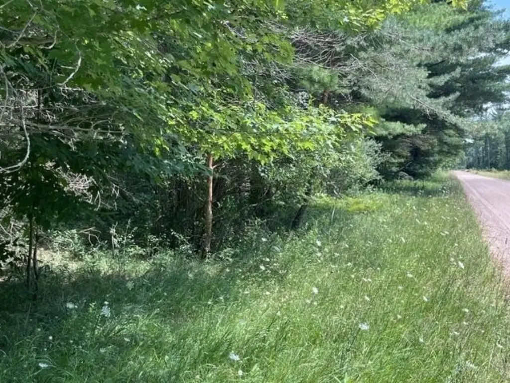 Picture 18