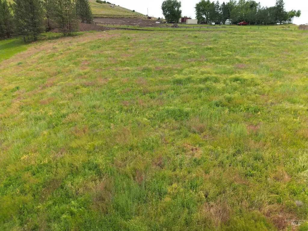 Picture 14