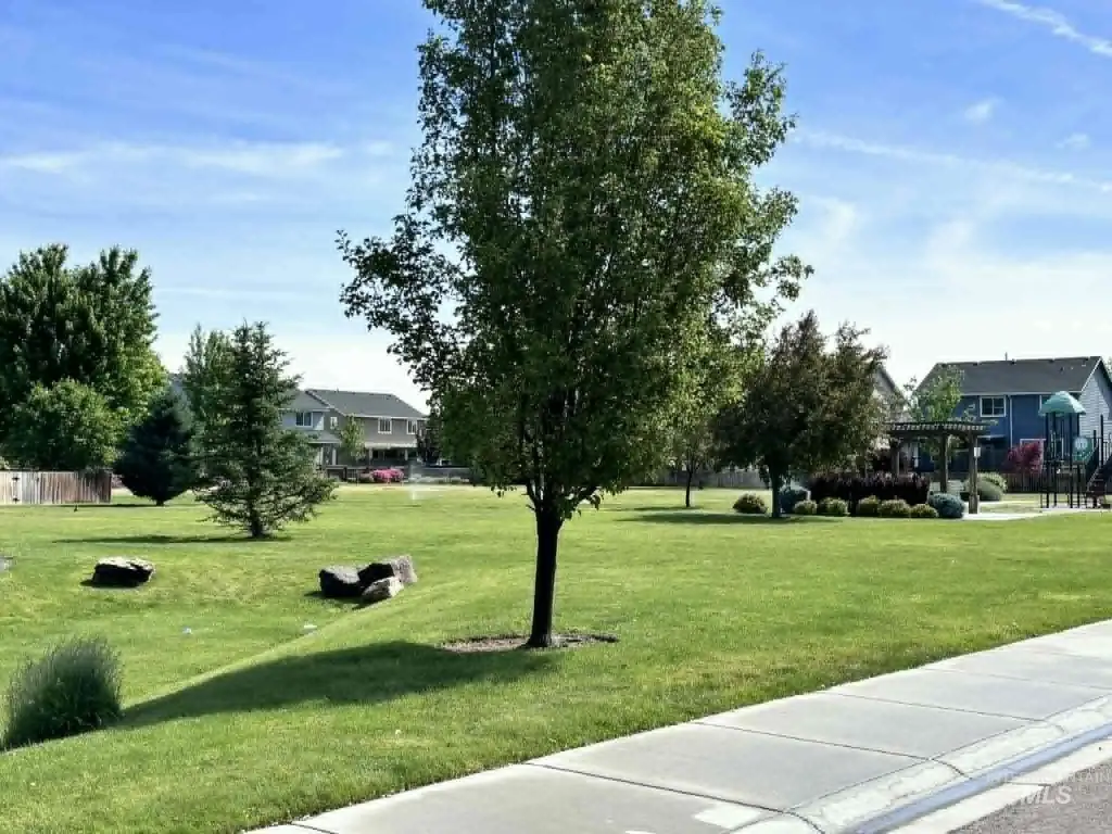 Picture 9