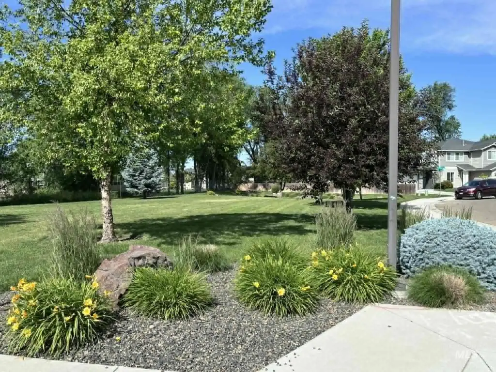 Picture 23