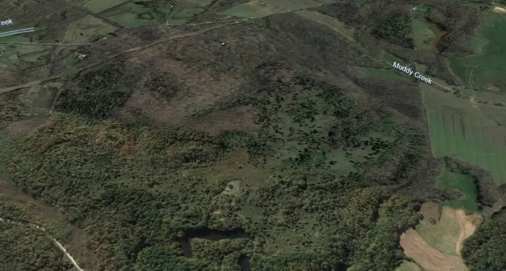 Picture 5